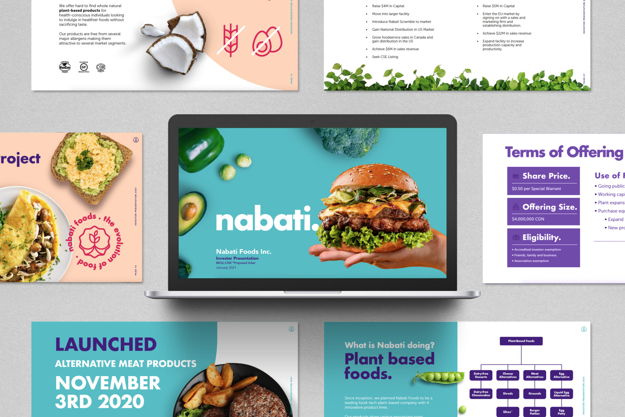 Nabati-presentation-mockup2